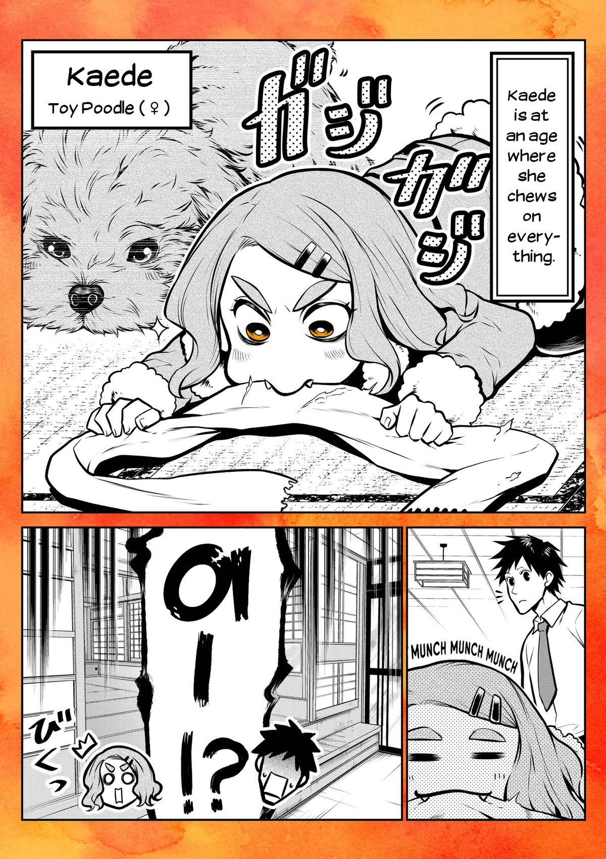 Page 0