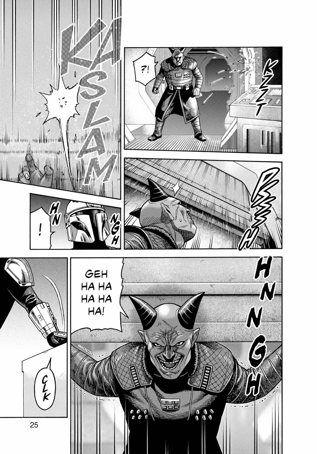 Page 25